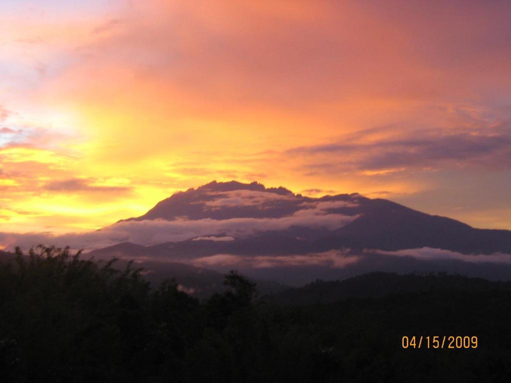 Sabah Tea Garden-Longhouses Ranau Εξωτερικό φωτογραφία
