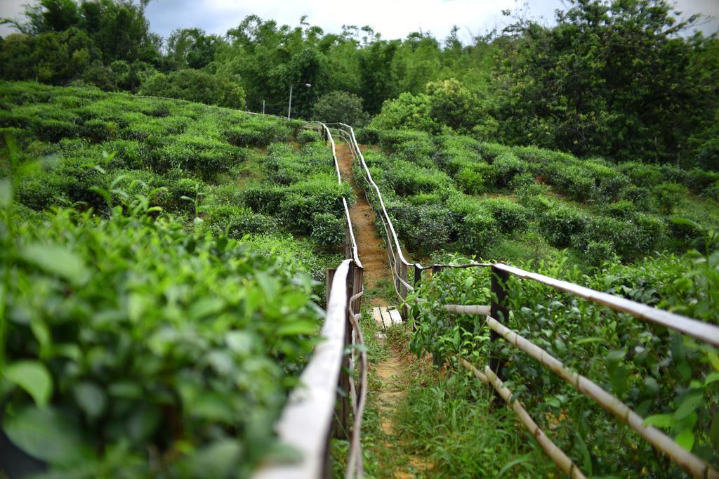 Sabah Tea Garden-Longhouses Ranau Εξωτερικό φωτογραφία