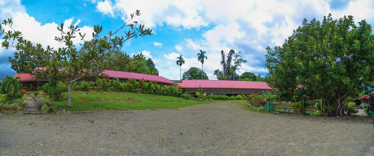 Sabah Tea Garden-Longhouses Ranau Εξωτερικό φωτογραφία