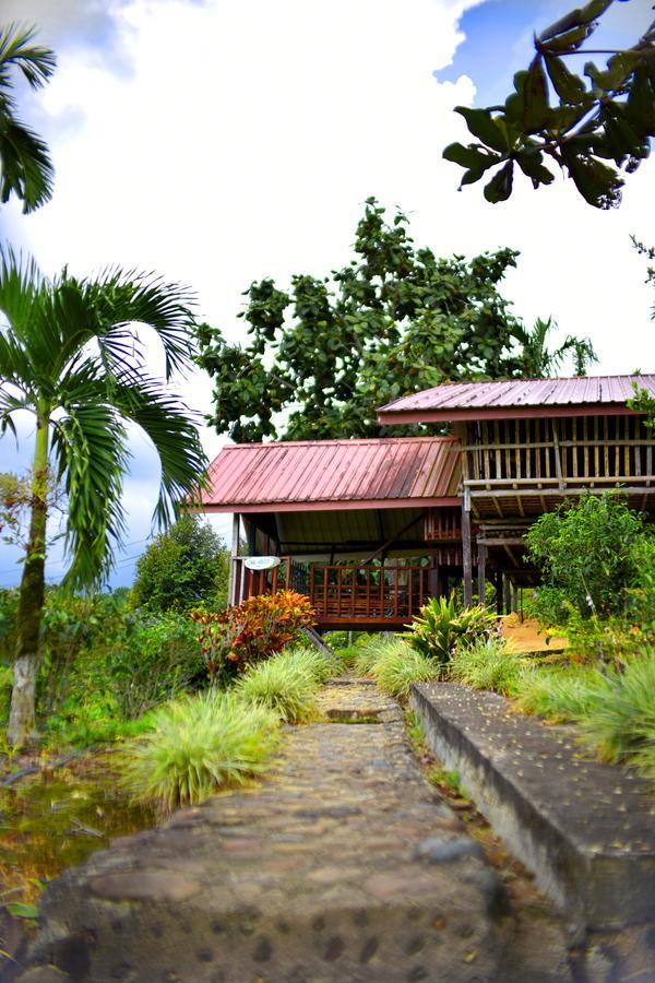 Sabah Tea Garden-Longhouses Ranau Εξωτερικό φωτογραφία